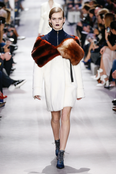 Christian Dior Fall/Winter 2016