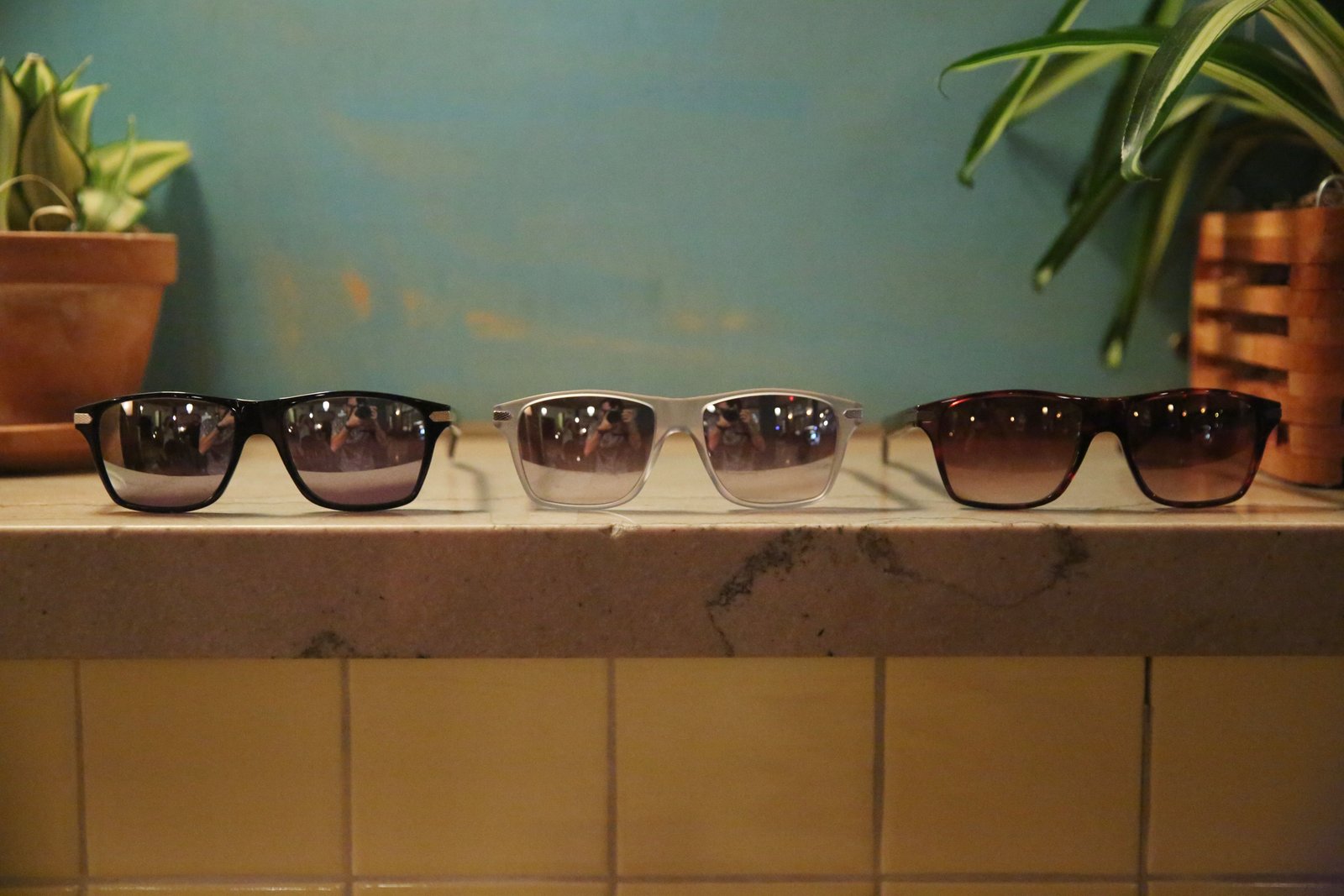 Shades at the Shaker