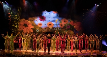 Cirque Du Soleil’s OVO Buzz into Miami!