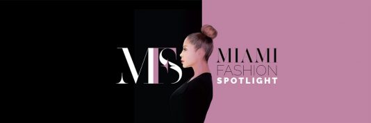 Logo blog MFS