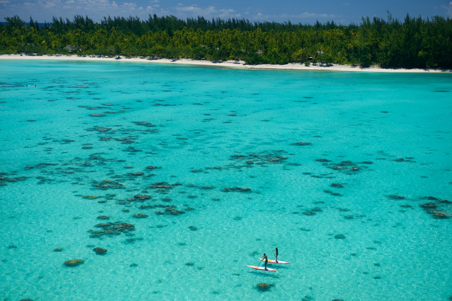 Eco-Lux-Hotels | The Brando in Tahiti: The Ultimate Sustainable Getaway