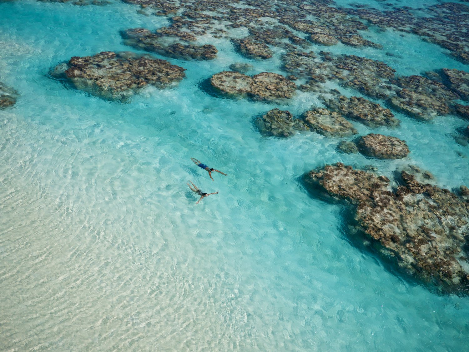 Eco-Lux-Hotels | The Brando in Tahiti: The Ultimate Sustainable Getaway