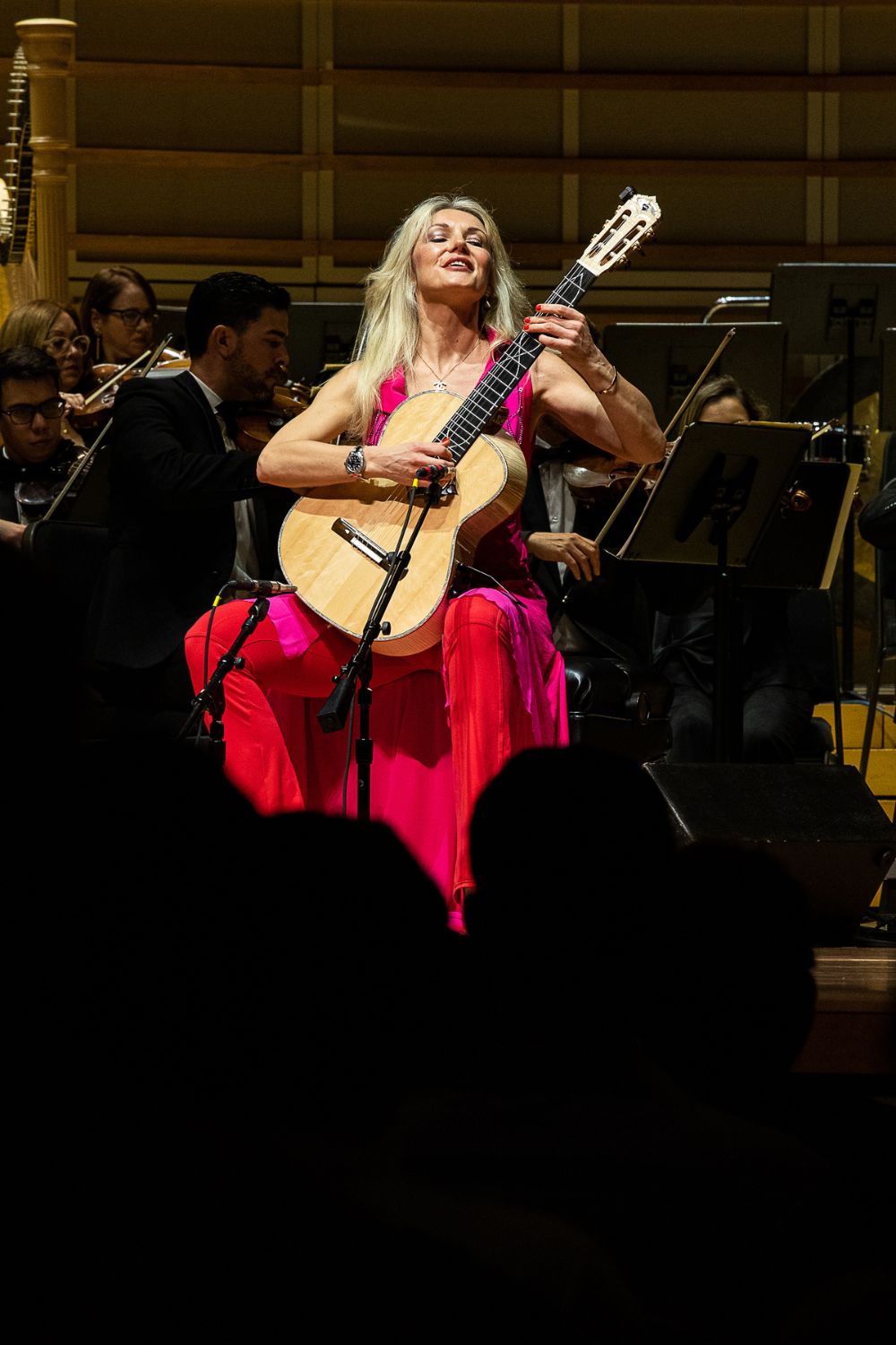 The Miami Symphony Orchestra concert 'Pulsing Symphonic Sounds'