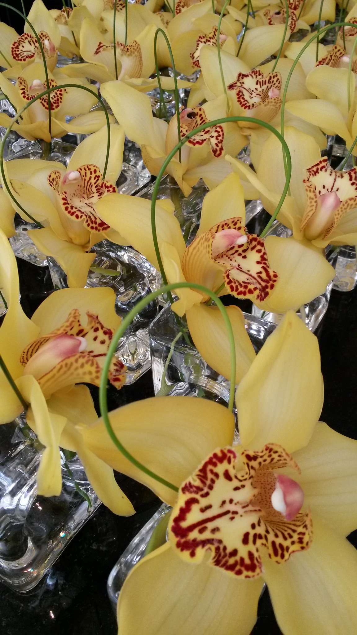 Designing with Blooms with Francis Yechitch