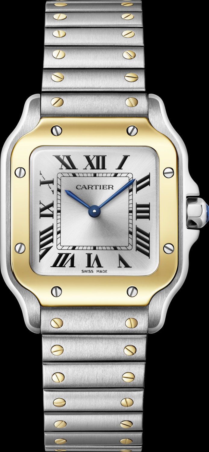 Santos de Cartier Unveils Refined Small Model: A Legacy Reimagined