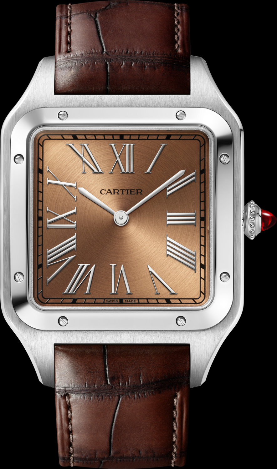 Santos de Cartier Unveils Refined Small Model: A Legacy Reimagined