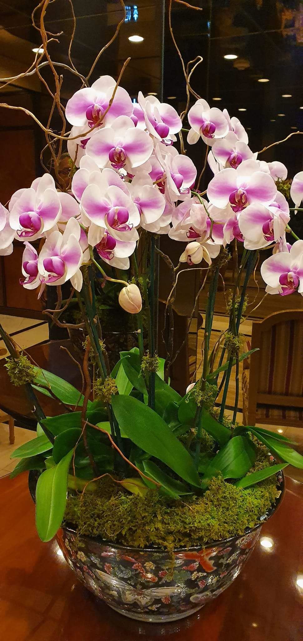 Designing with Blooms | Orchids in a Contemporary Key: Expert care for a living beauty—elegant and timeless
