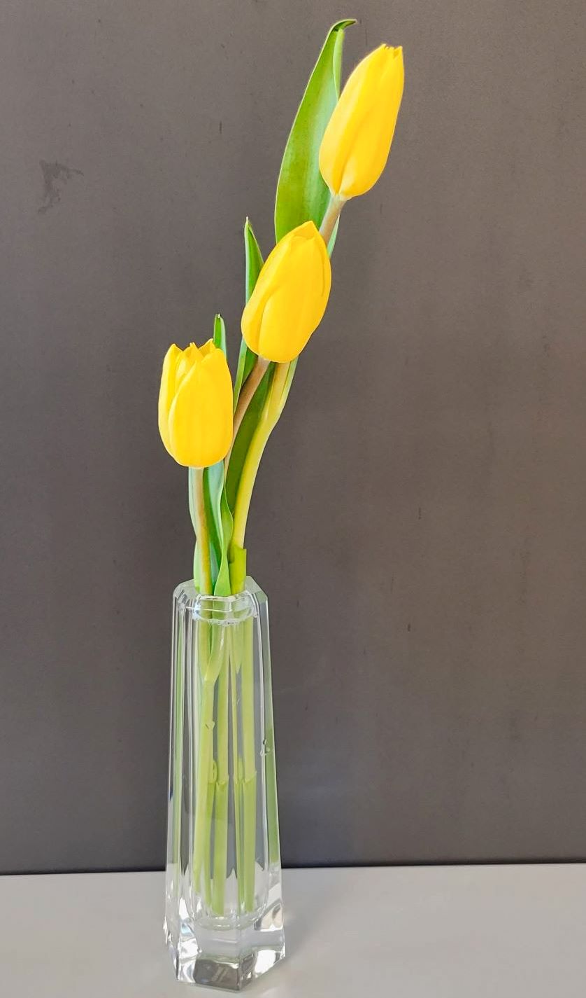  Designing for Success and Balance (Business Energy & Feng Shui)