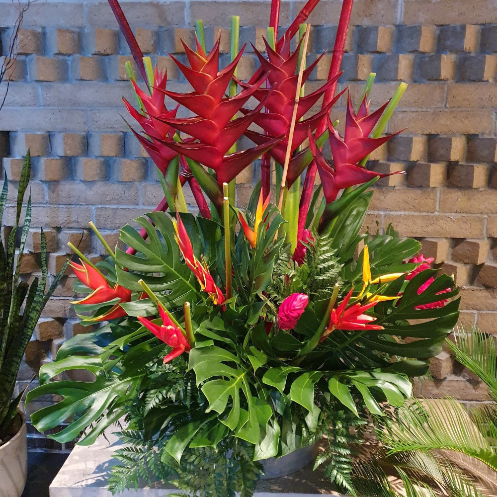 Miami Bloom: Elevate Your Home with Tropical Floral Elegance