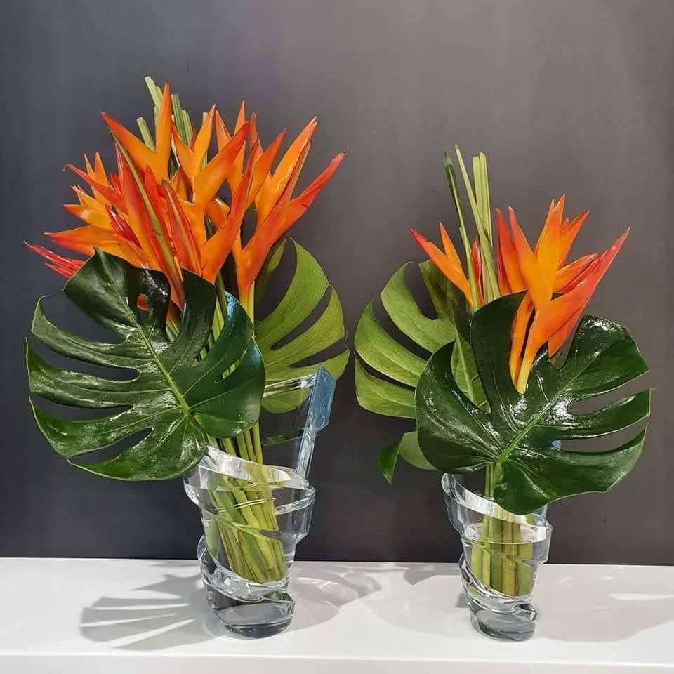 Miami Bloom: Elevate Your Home with Tropical Floral Elegance