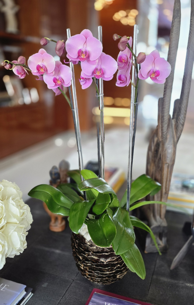 Miami Bloom: Elevate Your Home with Tropical Floral Elegance