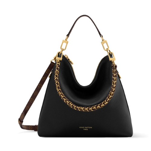Introducing the Mini Multipass by LV Introducing the Mini Multipass by LV